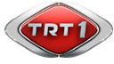 TRT 1